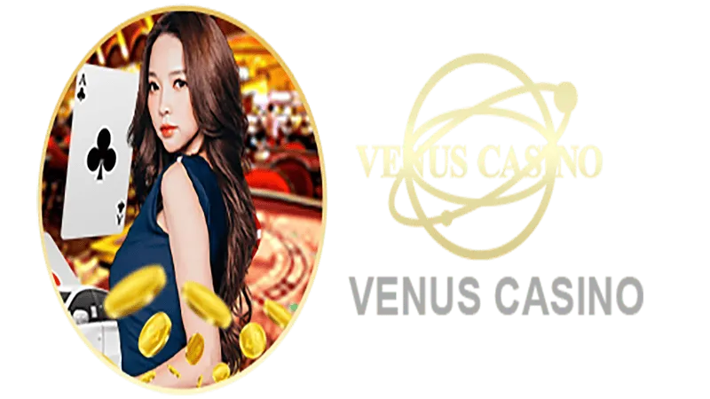 121 bet Informações básicas sobre o saguão do cassino Venus